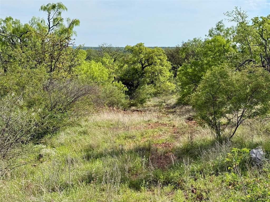 Picture 35