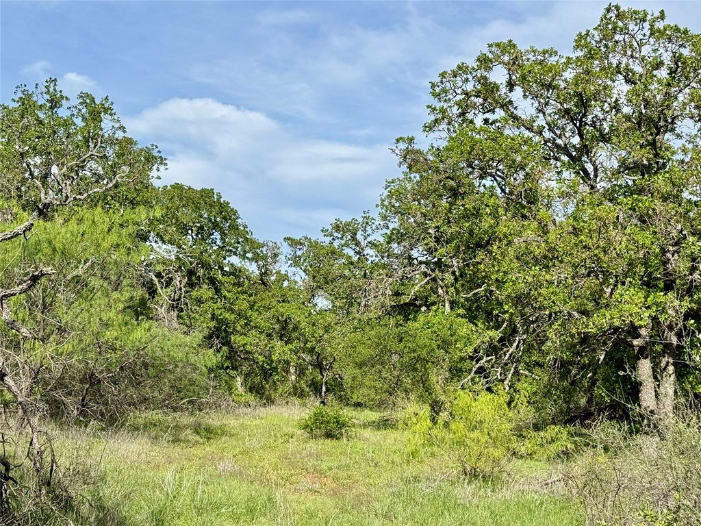 Picture 34