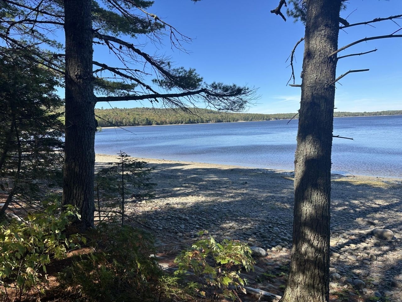 Ellsworth Land with Lake View