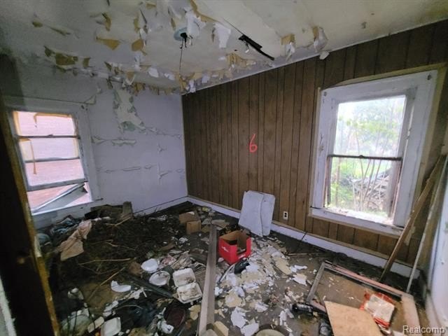 Picture 16