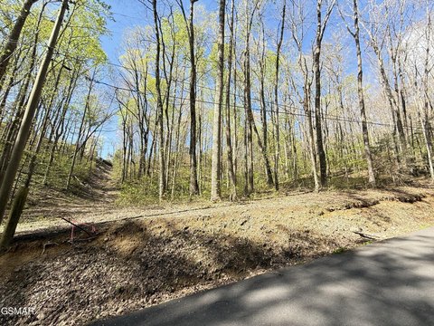 LAND - Gatlinburg, TN