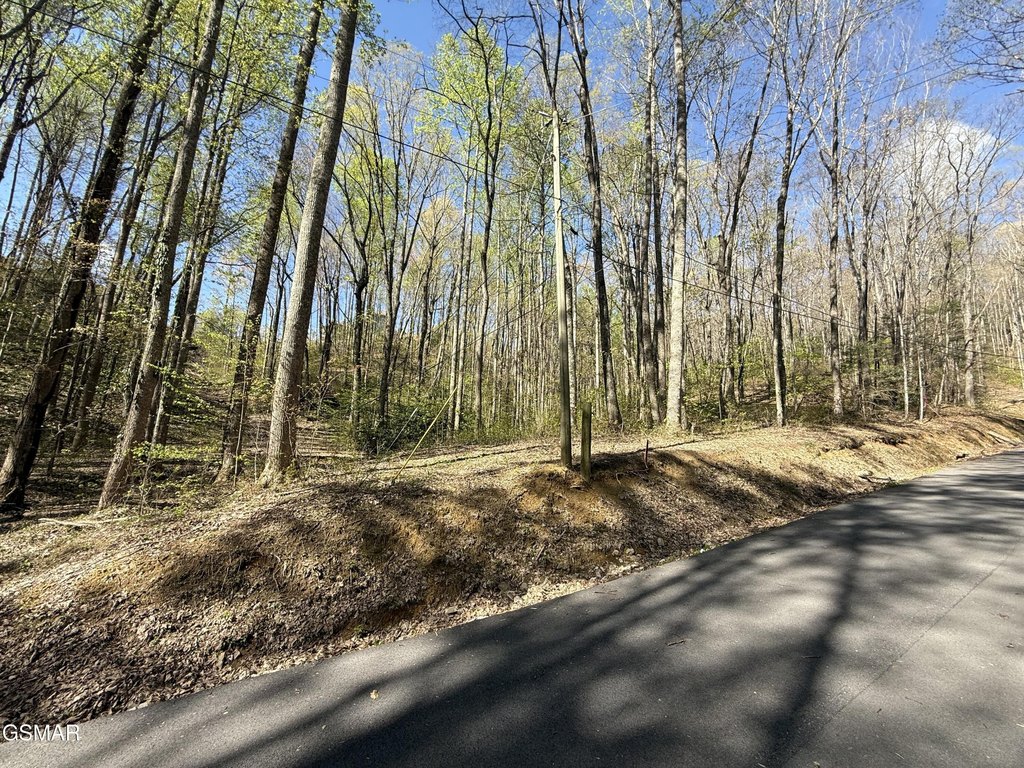 Picture 2