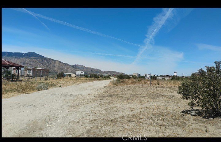 Picture 6