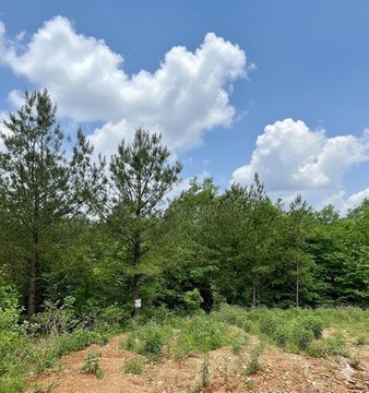 LAND - Broken Bow, OK