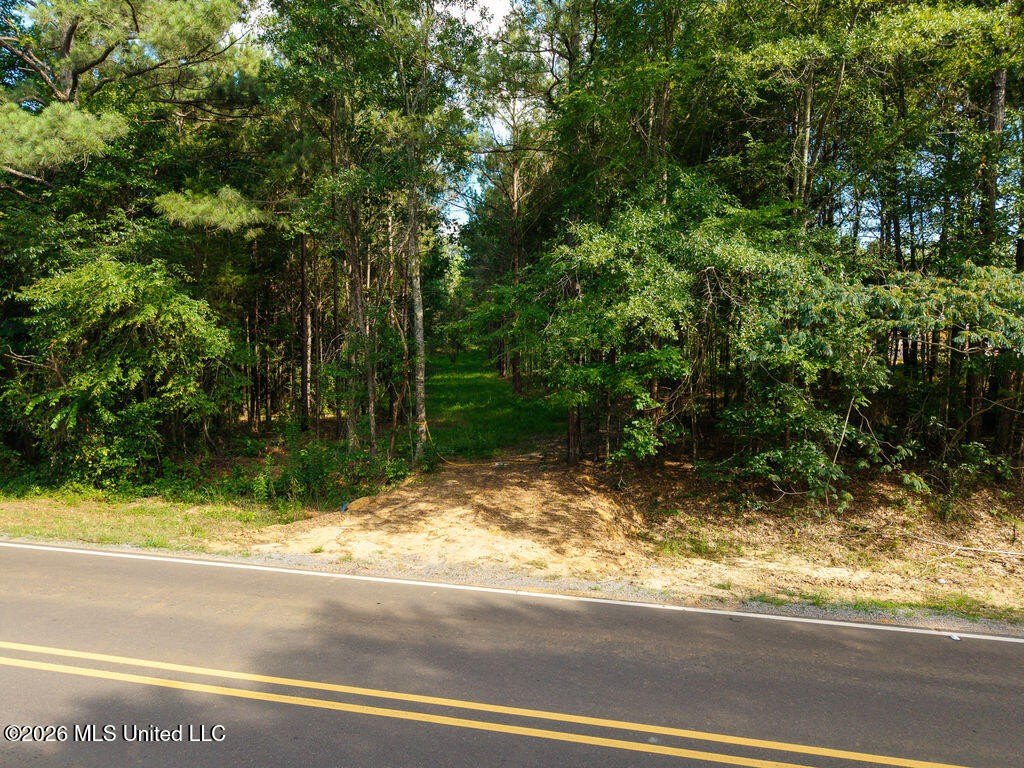 Picture 30