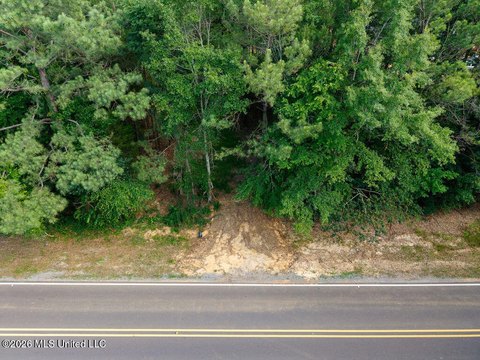 LAND - Brandon, MS