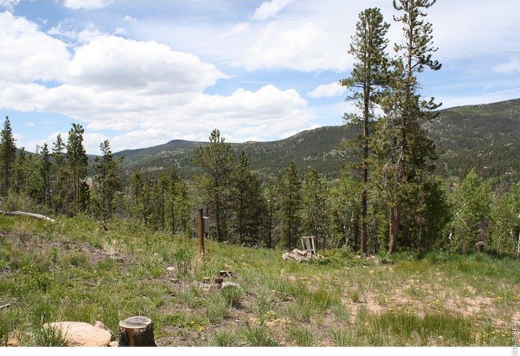 Picture 11