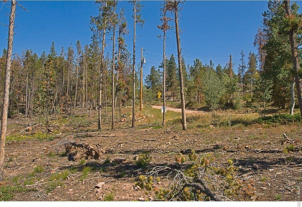 Picture 24