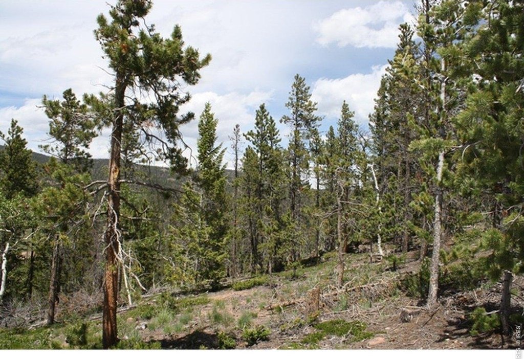 Picture 19
