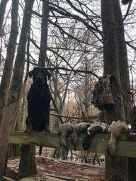 Leflore Hunting Land with Cabin
