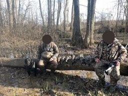 Picture 11