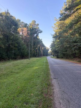 Land, Louisville, MS
