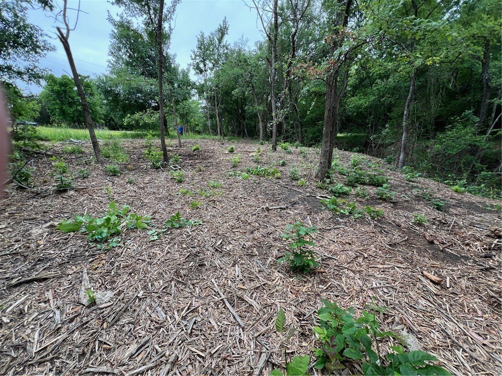 Picture 7
