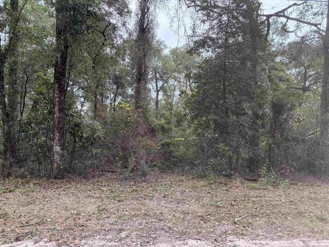 LAND - Crawfordville, FL