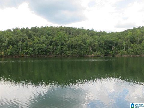LAND - WEDOWEE, AL