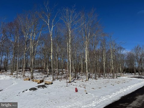 Golf Course Building Lot