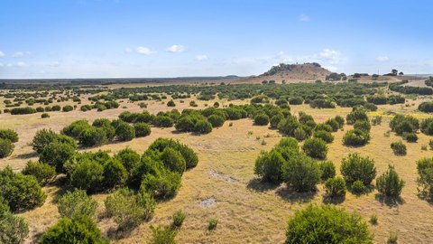 Agricultural Land with Multiple Homesites