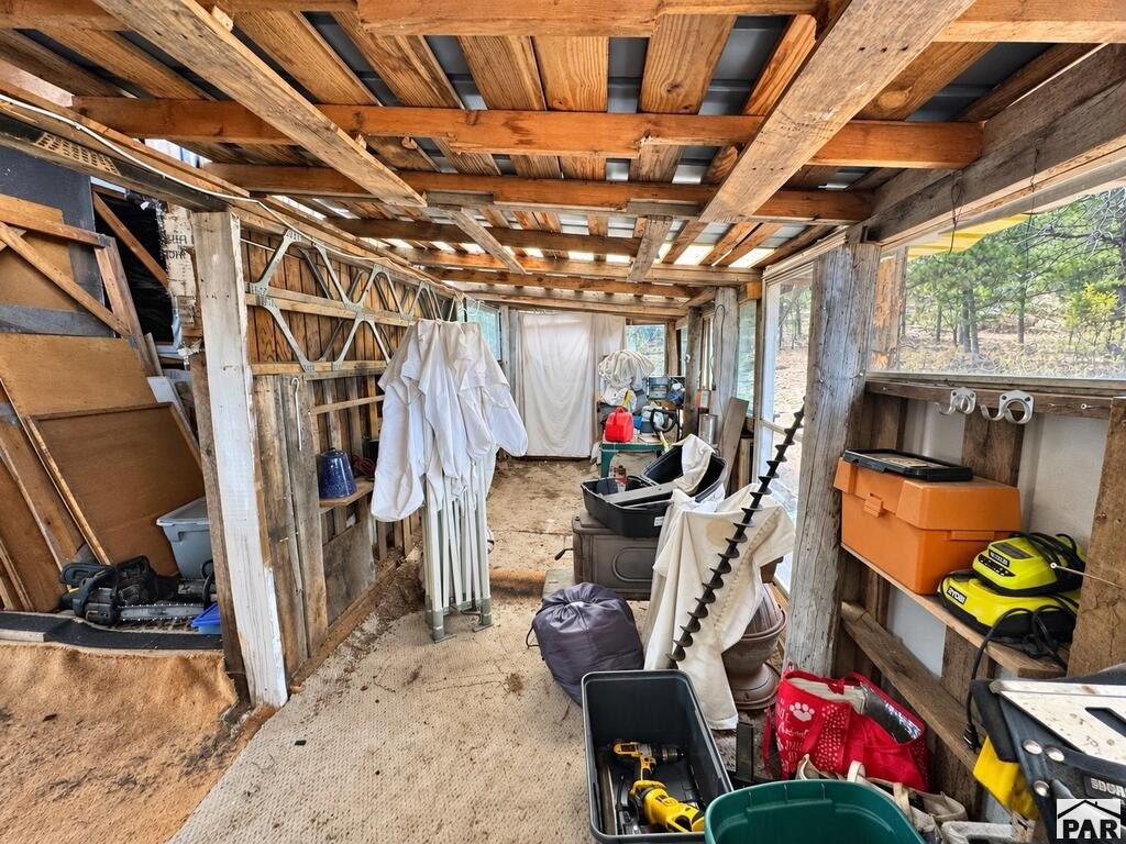 Picture 19