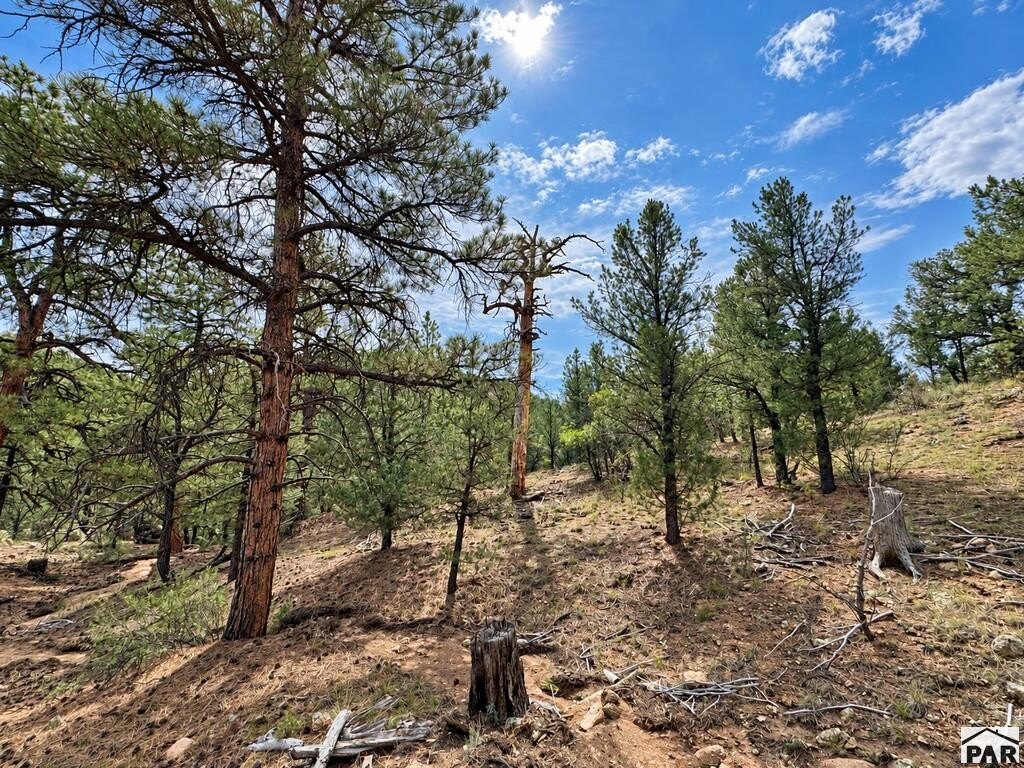 Picture 33