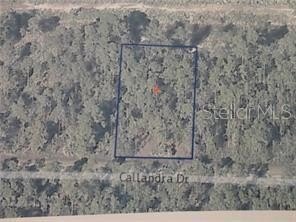 Serene Indian Lake Estates Land