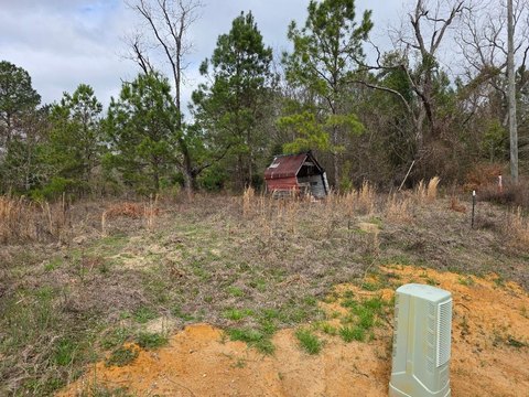 One Acre Lot in Sardis