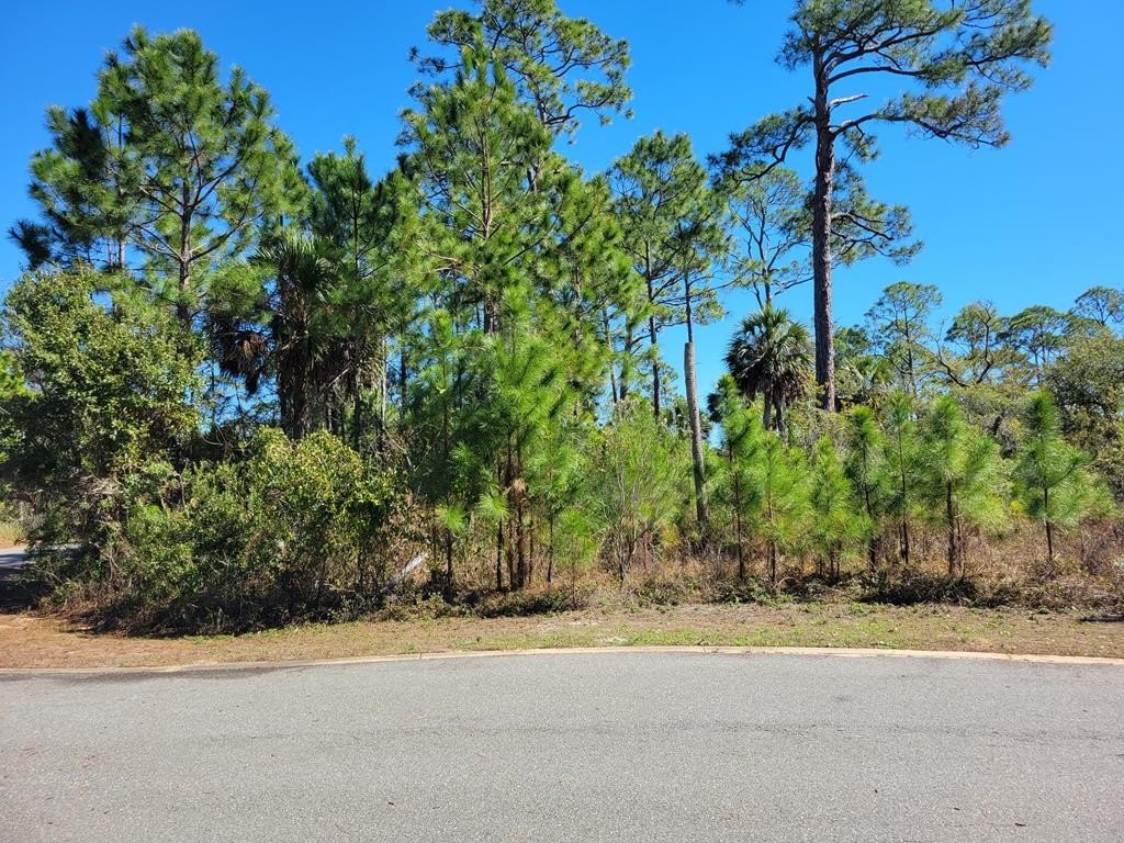 Residential Lot in Mystic Palms