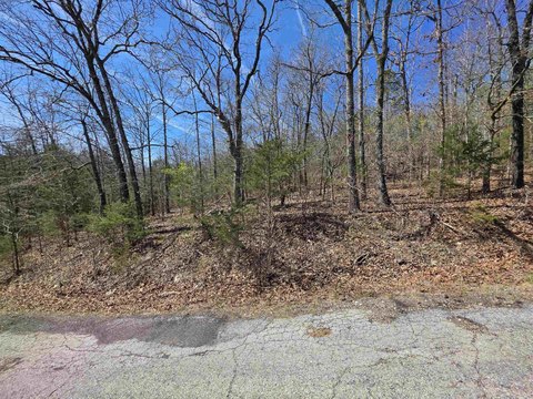Vacant Land, Cherokee Village, AR