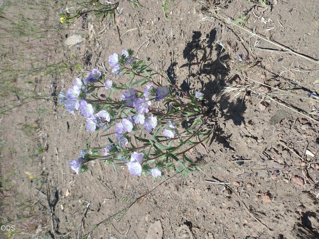 Picture 24