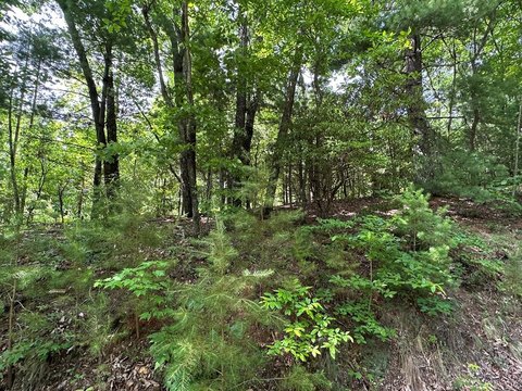 2.67 Acres Wooded Mountain Land