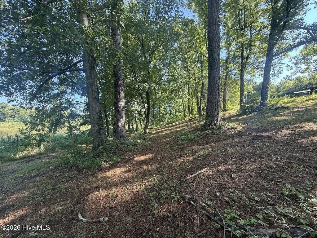 Picture 30