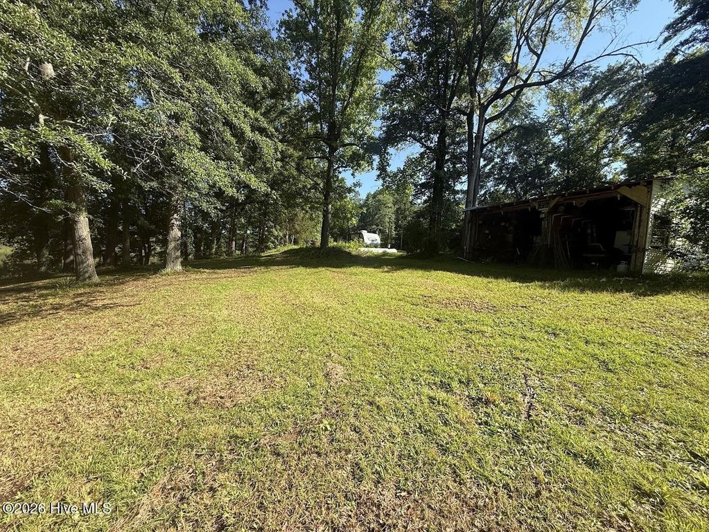 Picture 29