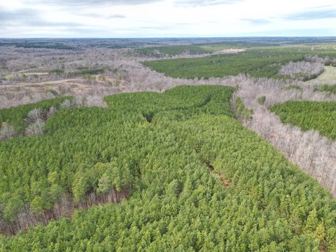 79 Acres of Forestland Investment