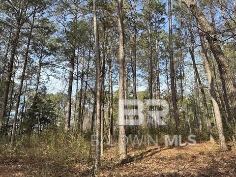 Residential Land Near I-65