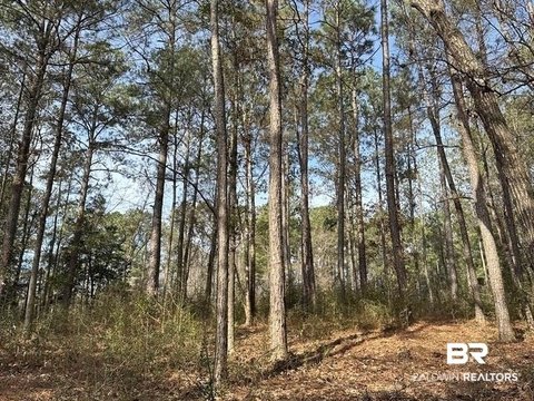 Residential Land Near I-65