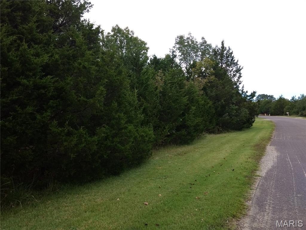 Picture 3