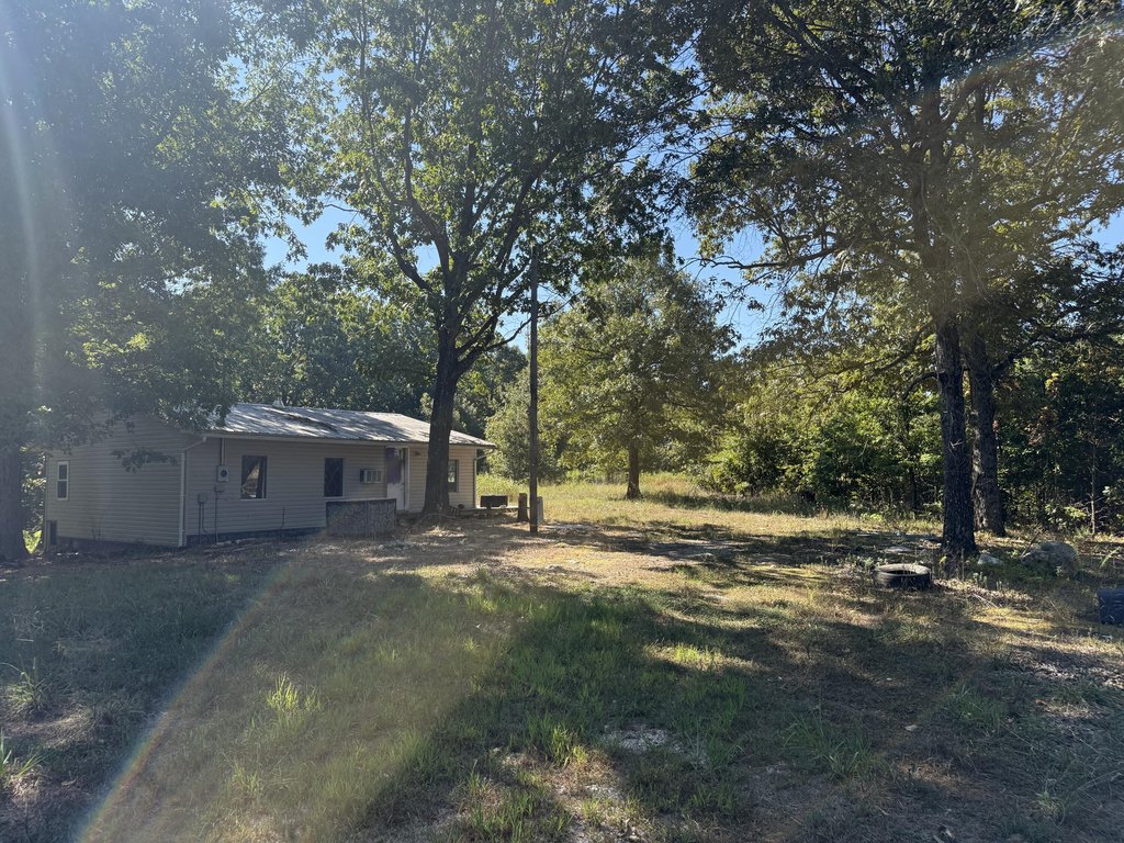 Picture 5