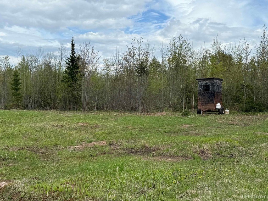 Picture 18