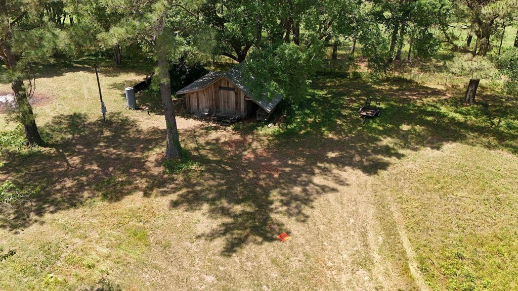 Picture 3
