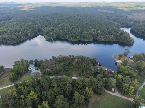 LAND/LOTS, CLANTON, AL