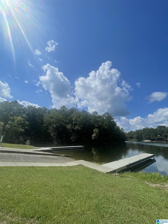 Picture 20