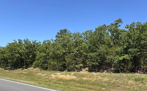Morrilton Land with Highway Frontage