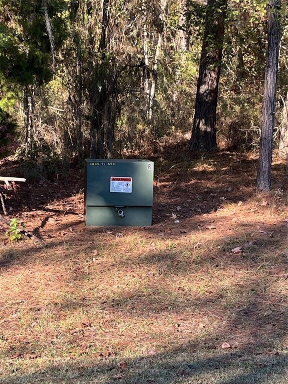 Picture 10
