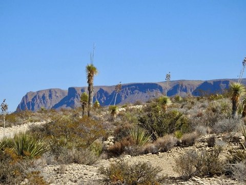 Undeveloped 40 Acres in Terlingua