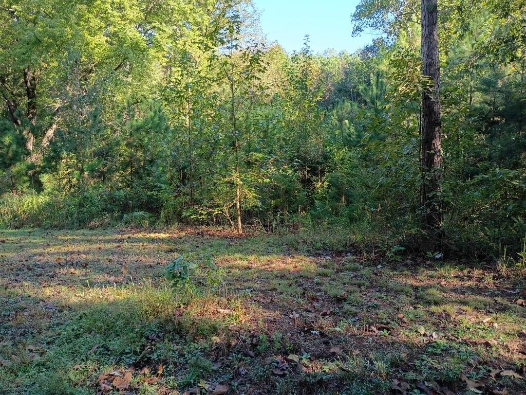 Picture 3