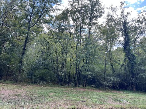 Land, Jackson, MS