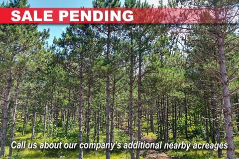 Wooded Recreational Land Homesite