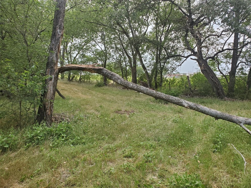 Picture 6