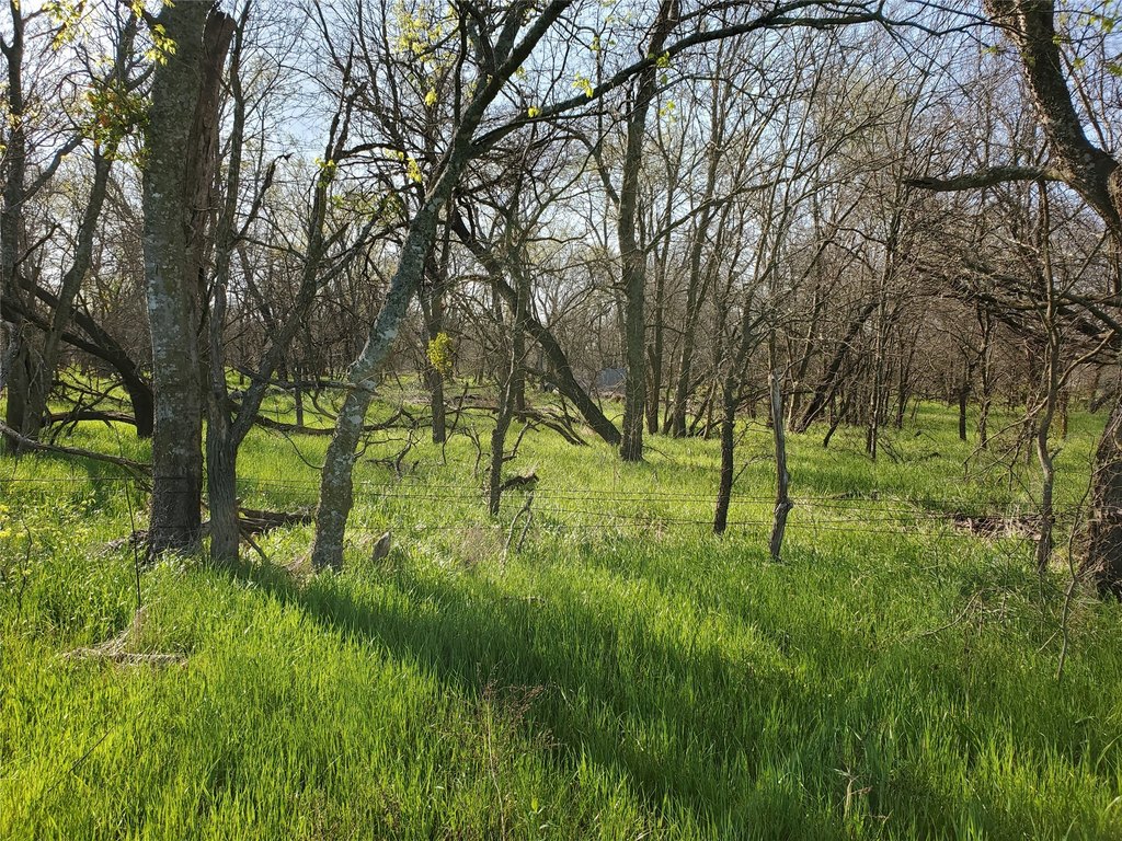 Picture 3