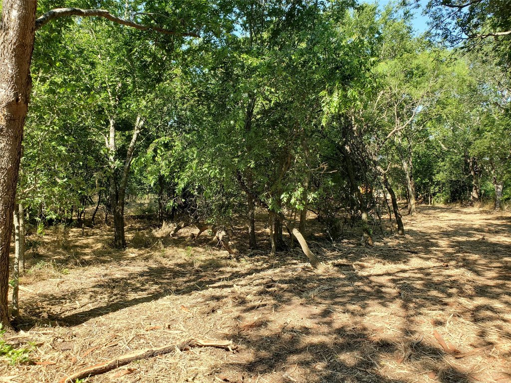 Picture 10