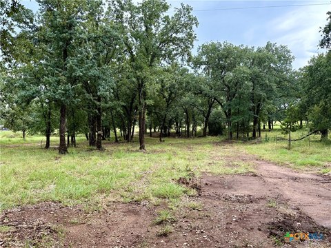 Gatesville Land For Sale